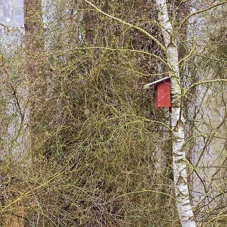 別荘 2689-nexo-munkegardsskoven-6 Neksø