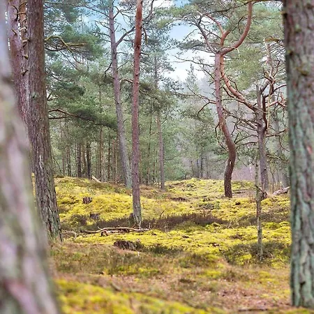 2689-nexo-munkegardsskoven-6 別荘 *