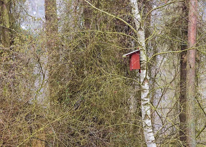 Hébergement de vacances 2689-nexo-munkegardsskoven-6 Neksø