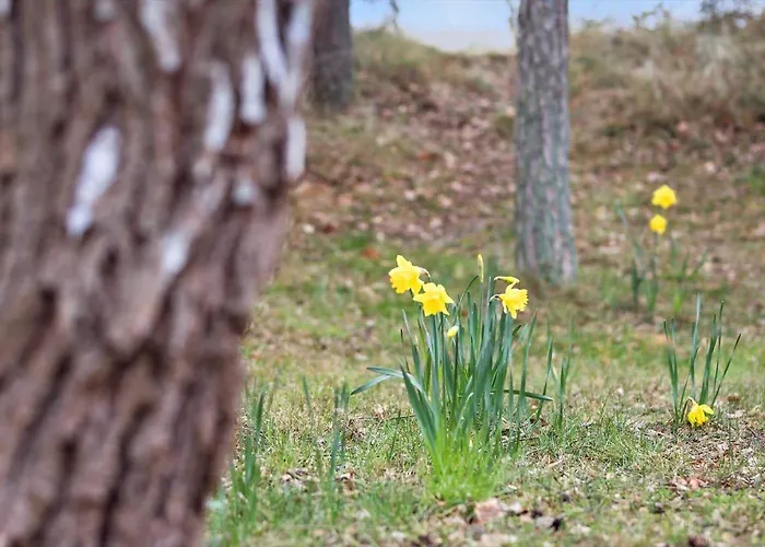 2689-nexo-munkegardsskoven-6 Hébergement de vacances *