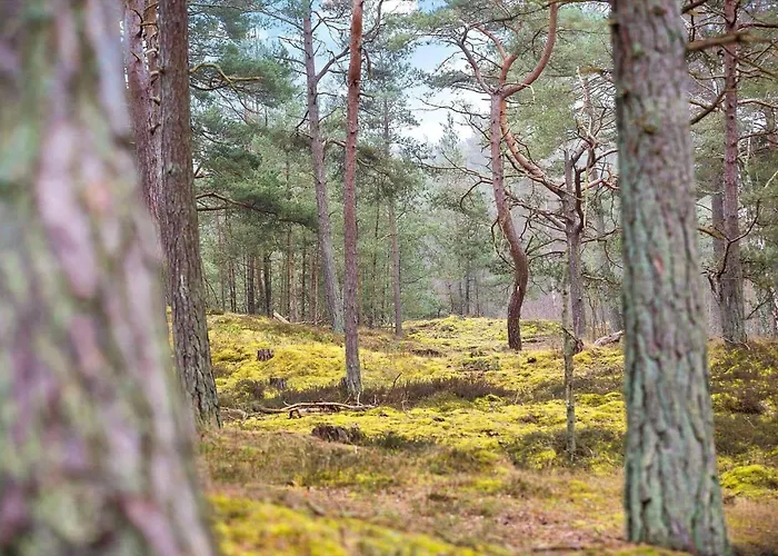 2689-nexo-munkegardsskoven-6 Hébergement de vacances *